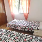 Casa de Férias V4 Filomena *