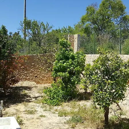 V4 Filomena Holiday home Albufeira
